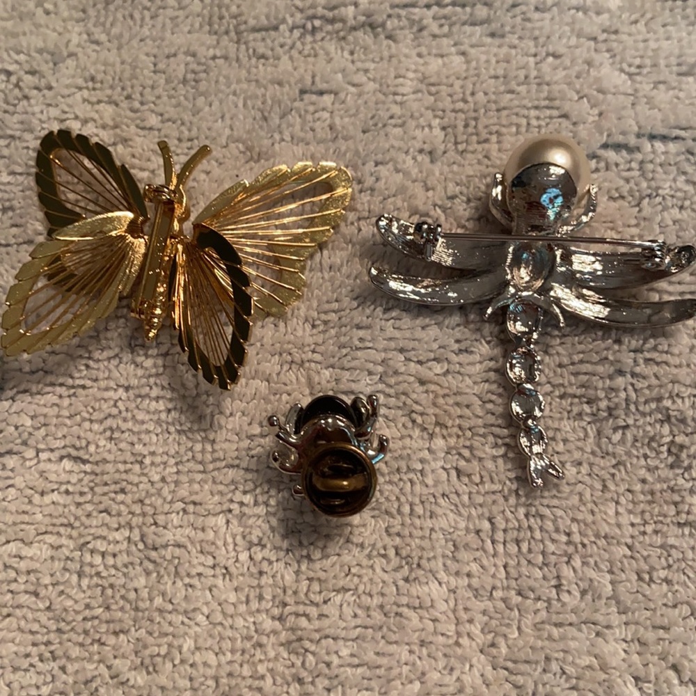Bug/Insect Pin Lot - Picture 5 of 5